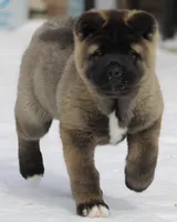 processed/1778e03d-f048-4f2e-b678-24507c005276/listing/61bf27d1-ff2f-491e-922f-7f06fd15a9b8/8763069f-d5b5-4e82-9754-611a36bdafcc