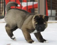 processed/1778e03d-f048-4f2e-b678-24507c005276/listing/61bf27d1-ff2f-491e-922f-7f06fd15a9b8/c03d3303-4c6d-4116-8df0-10dc34f522b5