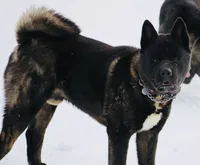 processed/1778e03d-f048-4f2e-b678-24507c005276/listing/61bf27d1-ff2f-491e-922f-7f06fd15a9b8/ec0b8025-9ddc-4e75-a15f-a6efd4751b03