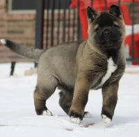 processed/1778e03d-f048-4f2e-b678-24507c005276/listing/61bf27d1-ff2f-491e-922f-7f06fd15a9b8/f395eb14-c605-4e41-b1ad-8ecec69a53c5