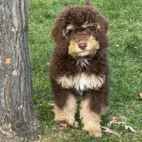 processed/17812dc7-b2ac-4305-9e41-732a1b312d59/facility/271678d7-829c-495e-aa08-86401892c229