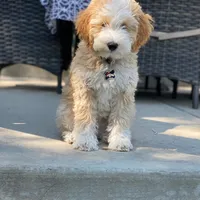 processed/17812dc7-b2ac-4305-9e41-732a1b312d59/facility/5097b121-dd18-440e-8cf2-7564f1828bc4