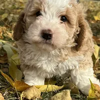 processed/17812dc7-b2ac-4305-9e41-732a1b312d59/facility/59108378-dd02-47a7-b367-d356e24cb00f