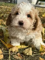 processed/17812dc7-b2ac-4305-9e41-732a1b312d59/facility/59108378-dd02-47a7-b367-d356e24cb00f