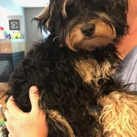 processed/17812dc7-b2ac-4305-9e41-732a1b312d59/facility/5f4927f1-aee7-437d-a2ef-685f0eba675d