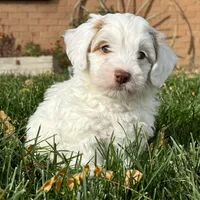 processed/17812dc7-b2ac-4305-9e41-732a1b312d59/facility/66b067e7-2102-4620-99d5-912286d767ec