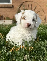 processed/17812dc7-b2ac-4305-9e41-732a1b312d59/facility/66b067e7-2102-4620-99d5-912286d767ec