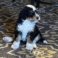 processed/17812dc7-b2ac-4305-9e41-732a1b312d59/facility/6fa20eda-eee1-4be9-b136-6d744a41785e