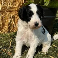 processed/17812dc7-b2ac-4305-9e41-732a1b312d59/facility/7ea60021-fe40-4cb6-ba8d-0d9cde217b4e