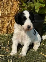 processed/17812dc7-b2ac-4305-9e41-732a1b312d59/facility/7ea60021-fe40-4cb6-ba8d-0d9cde217b4e