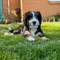 processed/17812dc7-b2ac-4305-9e41-732a1b312d59/facility/a1852be5-c7d3-47fc-bc0c-ba8ca0a18119