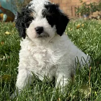 processed/17812dc7-b2ac-4305-9e41-732a1b312d59/facility/accc53bd-fe91-4cfa-af89-7cdf04276a90