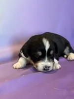 processed/17812dc7-b2ac-4305-9e41-732a1b312d59/listing/1fc15f14-9374-4d66-be46-5c7749a526f1/29a5654e-ae7a-4e73-9914-9401229a8c25