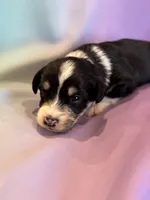 processed/17812dc7-b2ac-4305-9e41-732a1b312d59/listing/1fc15f14-9374-4d66-be46-5c7749a526f1/37ad7803-1805-43f9-bf9b-fe1693deb6f3