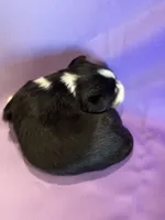 processed/17812dc7-b2ac-4305-9e41-732a1b312d59/listing/1fc15f14-9374-4d66-be46-5c7749a526f1/6c2bf611-e27e-4c2f-b10a-8777542617c8