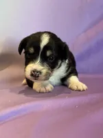 processed/17812dc7-b2ac-4305-9e41-732a1b312d59/listing/1fc15f14-9374-4d66-be46-5c7749a526f1/7343ebdc-ddfa-4f4c-9ba8-2ebaf915cf48