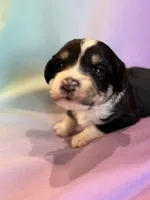 processed/17812dc7-b2ac-4305-9e41-732a1b312d59/listing/1fc15f14-9374-4d66-be46-5c7749a526f1/868f9e3b-b374-4b39-b1ad-59eae240e4e8