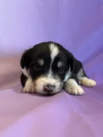 processed/17812dc7-b2ac-4305-9e41-732a1b312d59/listing/1fc15f14-9374-4d66-be46-5c7749a526f1/9ff092b6-ef3b-4bd3-ba32-847e9276c86a