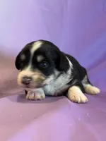 processed/17812dc7-b2ac-4305-9e41-732a1b312d59/listing/1fc15f14-9374-4d66-be46-5c7749a526f1/eb72d325-b288-403e-861e-285ef1451e26