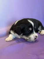 processed/17812dc7-b2ac-4305-9e41-732a1b312d59/listing/1fc15f14-9374-4d66-be46-5c7749a526f1/f8e9b30a-1be8-4a6a-9d64-0f71ae5b91ad