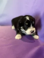 processed/17812dc7-b2ac-4305-9e41-732a1b312d59/listing/37270fa9-d9eb-4b49-b8c7-17877613d9b6/440edaa0-da50-41f2-82bc-dea1f4a63b9f