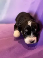 processed/17812dc7-b2ac-4305-9e41-732a1b312d59/listing/37270fa9-d9eb-4b49-b8c7-17877613d9b6/83c4fccd-2985-461e-add1-9108114d8995