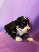 processed/17812dc7-b2ac-4305-9e41-732a1b312d59/listing/37270fa9-d9eb-4b49-b8c7-17877613d9b6/b3027ee3-53da-4a7b-858d-ee6e8379b4eb