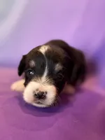 processed/17812dc7-b2ac-4305-9e41-732a1b312d59/listing/37270fa9-d9eb-4b49-b8c7-17877613d9b6/e0c17f28-76df-4070-8064-f76aaba07572