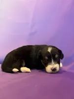 processed/17812dc7-b2ac-4305-9e41-732a1b312d59/listing/37270fa9-d9eb-4b49-b8c7-17877613d9b6/e60bd7a5-58c2-40e6-8735-93c6ef7ccb01