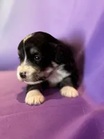 processed/17812dc7-b2ac-4305-9e41-732a1b312d59/listing/37270fa9-d9eb-4b49-b8c7-17877613d9b6/feec8f57-3483-4f03-b76e-058e47d5199f