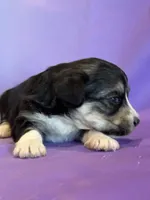 processed/17812dc7-b2ac-4305-9e41-732a1b312d59/listing/ae3227c6-c3e7-45d5-a6ad-47c2912b20e0/3c3e7231-1b61-4e7f-84fd-8b1e8ee1e551