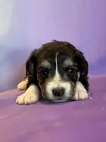 processed/17812dc7-b2ac-4305-9e41-732a1b312d59/listing/ae3227c6-c3e7-45d5-a6ad-47c2912b20e0/883d4bc5-6bec-407f-9371-740041f378ed