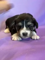 processed/17812dc7-b2ac-4305-9e41-732a1b312d59/listing/ae3227c6-c3e7-45d5-a6ad-47c2912b20e0/a2c30c93-1ea6-4ca2-86ef-e23da319b7cf