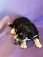 processed/17812dc7-b2ac-4305-9e41-732a1b312d59/listing/ae3227c6-c3e7-45d5-a6ad-47c2912b20e0/a763ac1d-0102-4599-bf15-cf91b9e1b697