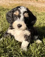 processed/17812dc7-b2ac-4305-9e41-732a1b312d59/listing/f891e8e3-b0d9-4e86-8e9d-5113b8c84398/0134ecf6-8dac-49a9-be77-325cfec99855