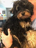 processed/17812dc7-b2ac-4305-9e41-732a1b312d59/listing/f891e8e3-b0d9-4e86-8e9d-5113b8c84398/0233f50b-d685-4a39-9db8-4c1ebf4e6b07