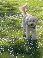 processed/17812dc7-b2ac-4305-9e41-732a1b312d59/listing/f891e8e3-b0d9-4e86-8e9d-5113b8c84398/09112489-bcdf-446b-abb8-a42a201dcd8f