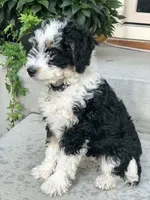 processed/17812dc7-b2ac-4305-9e41-732a1b312d59/listing/f891e8e3-b0d9-4e86-8e9d-5113b8c84398/2ae49c06-f5ab-4c01-b586-dccc3e49e310