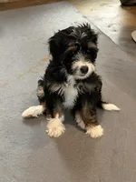 processed/17812dc7-b2ac-4305-9e41-732a1b312d59/listing/f891e8e3-b0d9-4e86-8e9d-5113b8c84398/494a891e-f03f-41da-8ef3-28aef2c49c93