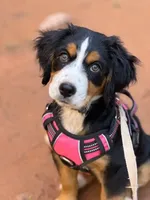 processed/17812dc7-b2ac-4305-9e41-732a1b312d59/listing/f891e8e3-b0d9-4e86-8e9d-5113b8c84398/84afae91-d612-4d32-aaec-bed7b1a50435