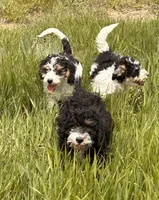 processed/17812dc7-b2ac-4305-9e41-732a1b312d59/listing/f891e8e3-b0d9-4e86-8e9d-5113b8c84398/ef120458-149d-4d48-a870-f7b20da37307