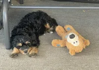 processed/17812dc7-b2ac-4305-9e41-732a1b312d59/listing/f891e8e3-b0d9-4e86-8e9d-5113b8c84398/f03f6d87-a89d-4c12-9c9d-90bcbcd5e601