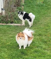 processed/178ddae5-c522-4b12-842b-6903d6ea56bc/facility/2f882d47-cf8f-47a0-83b2-3b3cf6451ffb