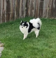 processed/178ddae5-c522-4b12-842b-6903d6ea56bc/facility/31126776-8d2f-4fb0-a76d-052ce08d2f05