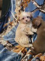 processed/179c9701-0b28-4918-9cf2-7128c784fb80/listing/2cbf8ecb-2ee9-4226-89e6-001ba5cc3a38/c949e31e-acc6-4e6c-ad7b-629a809a9bb0