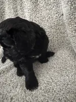 processed/17b771de-1f2b-4567-8c9e-b8431f2090d3/listing/b2f106df-be22-4aaa-a59f-82b67d127d9d/cabac41c-219a-40f2-b44a-69ad40e9a906