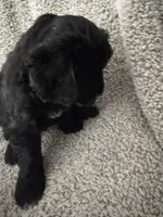 processed/17b771de-1f2b-4567-8c9e-b8431f2090d3/listing/b2f106df-be22-4aaa-a59f-82b67d127d9d/ce15d0cb-ac2b-4816-8d86-c26d3585c962