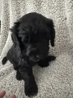 processed/17b771de-1f2b-4567-8c9e-b8431f2090d3/listing/b2f106df-be22-4aaa-a59f-82b67d127d9d/f4f70f7a-3068-4a17-abb9-dc863d71468e