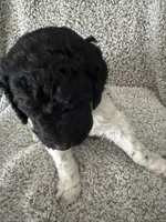 processed/17b771de-1f2b-4567-8c9e-b8431f2090d3/listing/e1cda700-3a51-4c1c-a39f-5a1966d7f8d7/0168b51d-3594-4d02-834c-a349f4aa706e