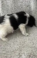 processed/17b771de-1f2b-4567-8c9e-b8431f2090d3/listing/e1cda700-3a51-4c1c-a39f-5a1966d7f8d7/3df33ee9-abf0-4497-9507-7e96c5a1c754